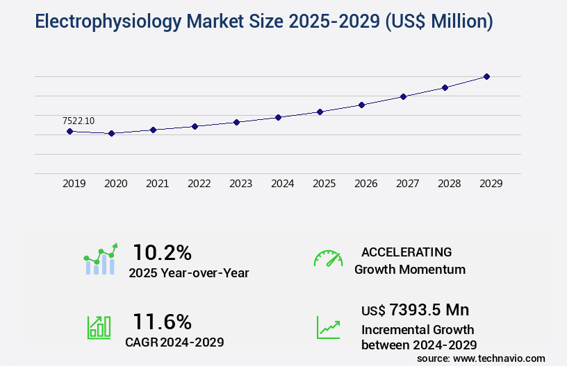 Electrophysiology Market Size