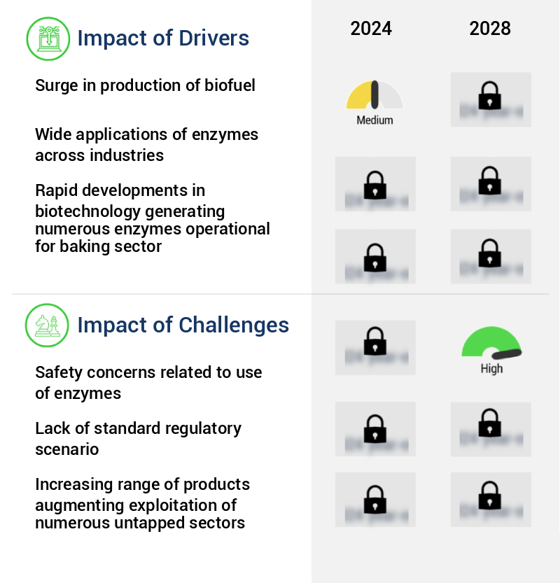 Enzymes Market Size