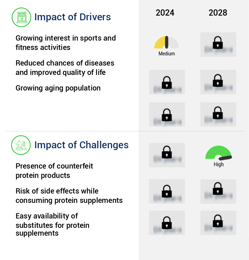Protein Supplements Market Size
