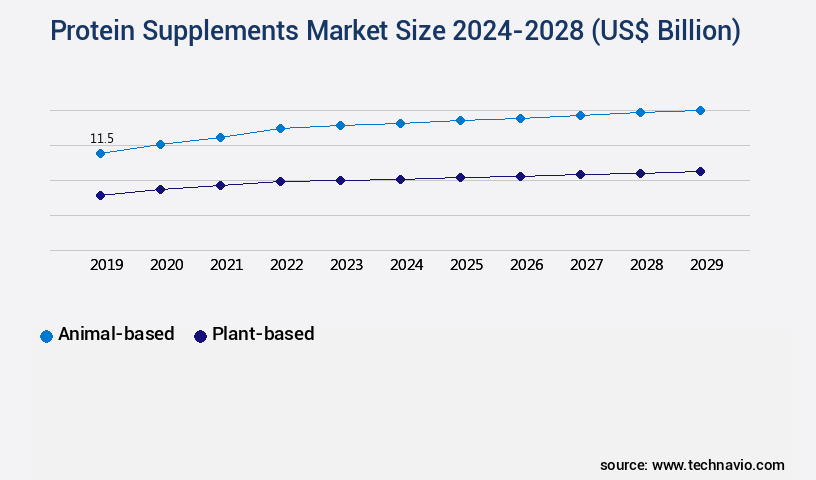 Protein Supplements Market Size