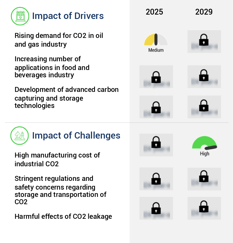 Carbon Dioxide Market Size