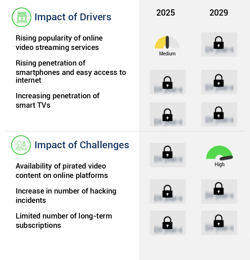 Online Movie Market Size