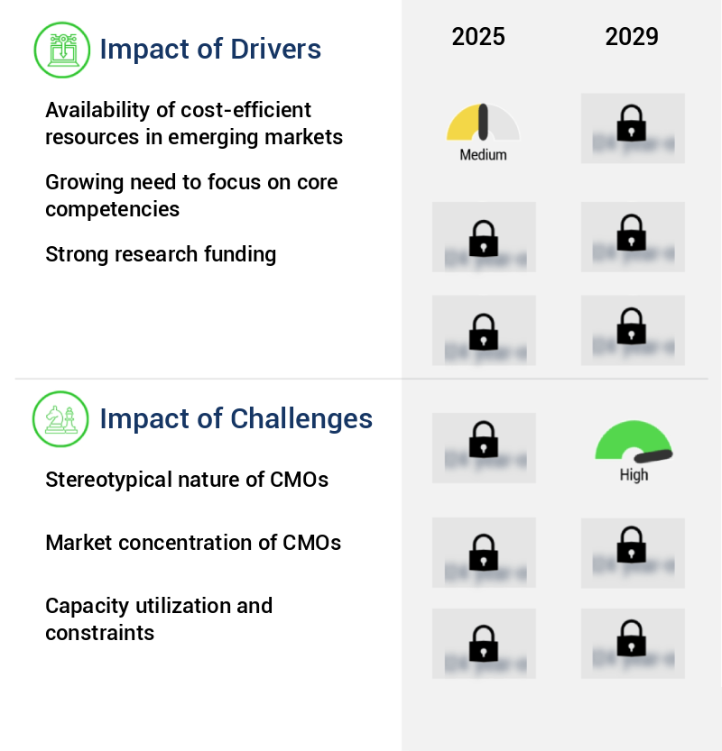 CMO In Pharmaceutical Industry Market Size