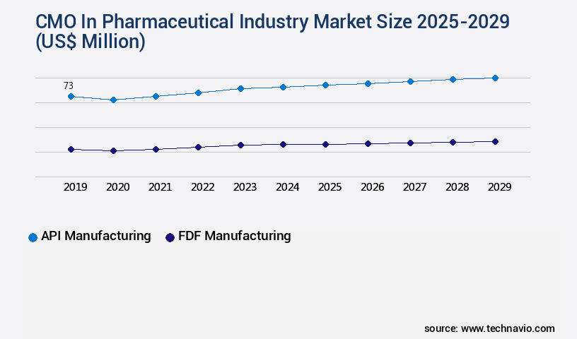 CMO In Pharmaceutical Industry Market Size