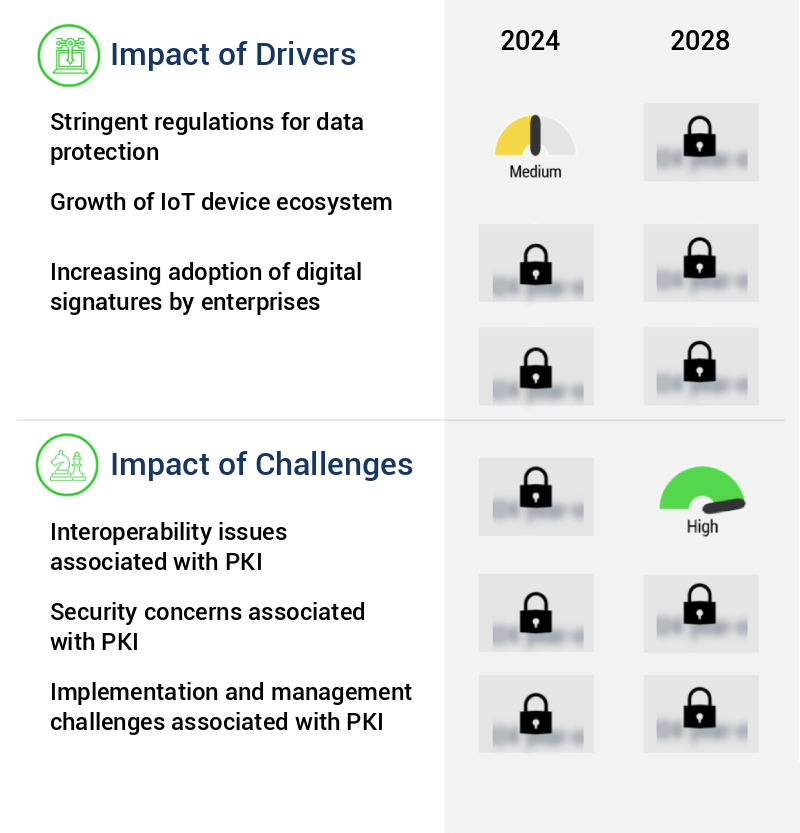 Public Key Infrastructure (PKI) Market Size