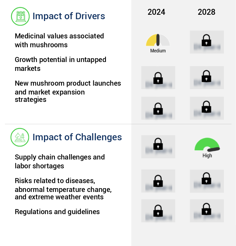 Mushroom Market Size