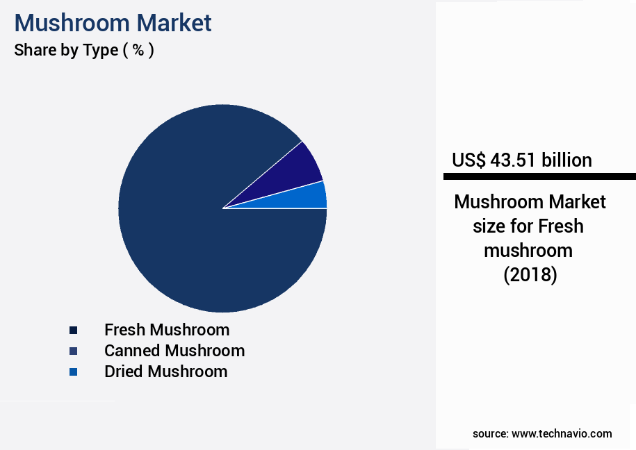 Mushroom Market Size