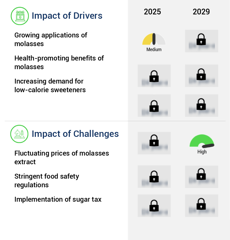 Molasses Market Size