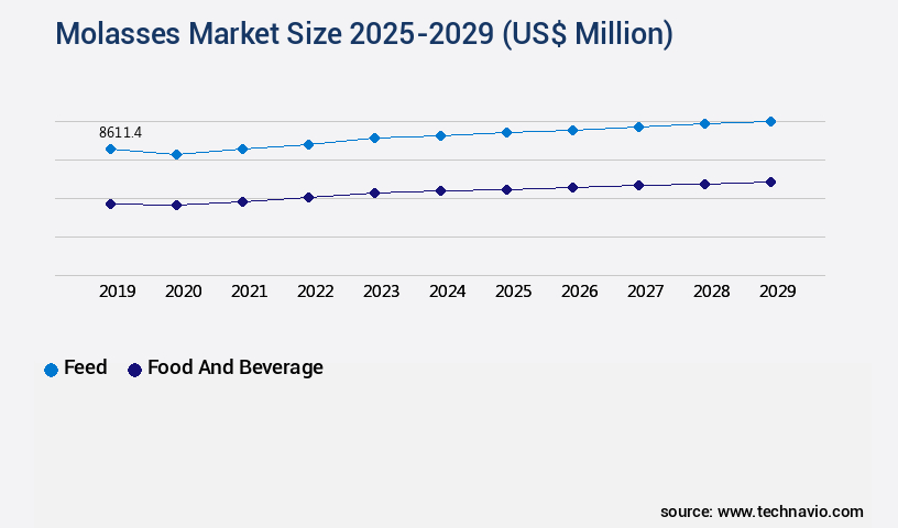 Molasses Market Size