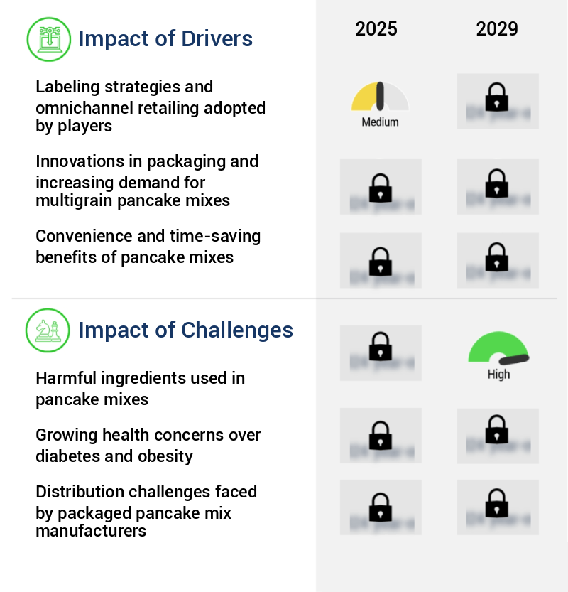 Pancake Mixes Market Size