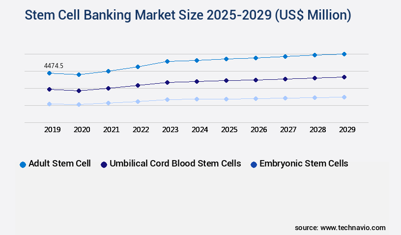 Stem Cell Banking Market Size