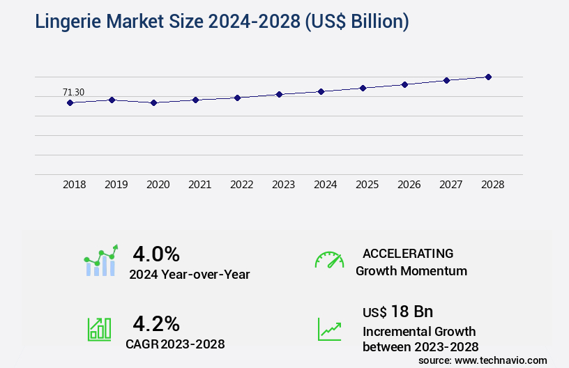 Lingerie Market Size