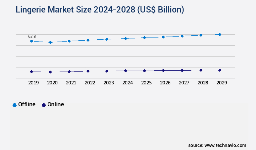 Lingerie Market Size