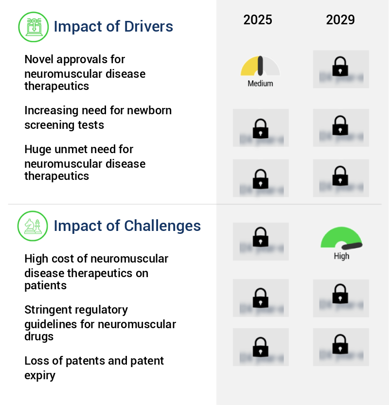 Neuromuscular Disease Therapeutics Market Size