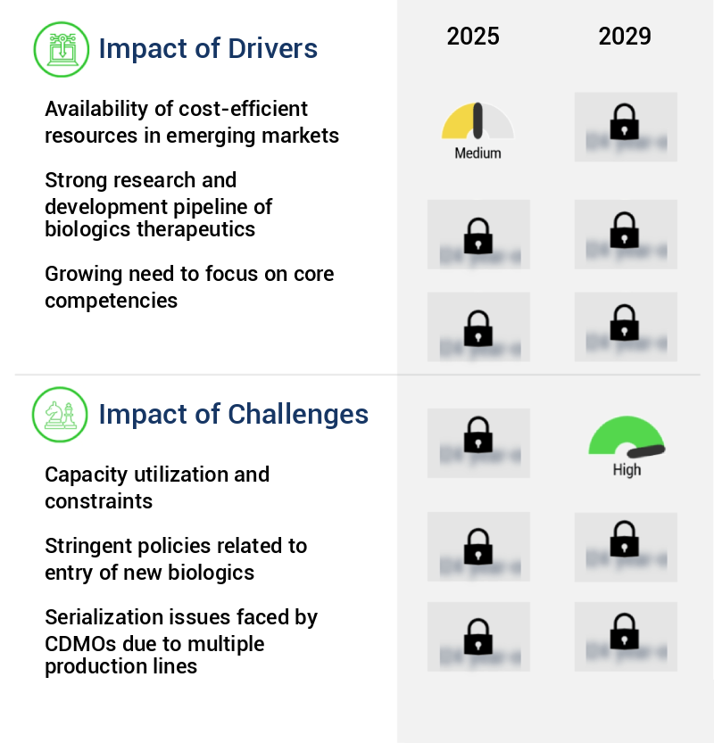 Biologics Contract Development And Manufacturing Organization (CDMO) Market Size