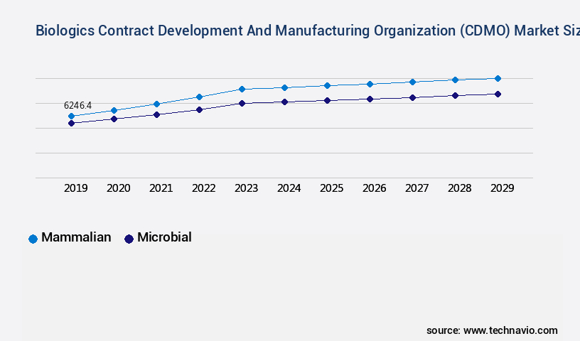 Biologics Contract Development And Manufacturing Organization (CDMO) Market Size
