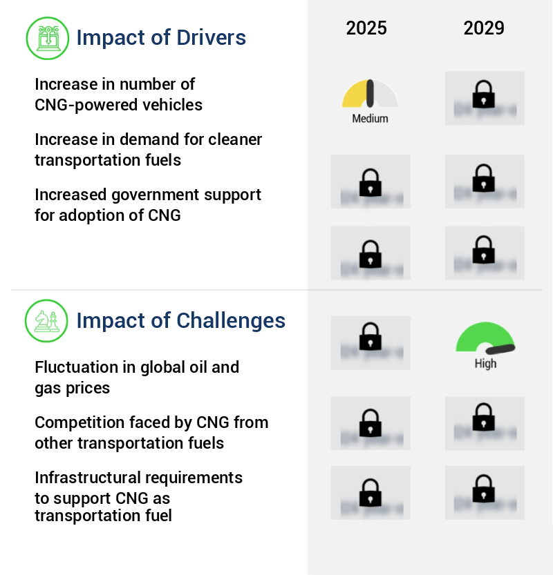 Compressed Natural Gas (CNG) Market Size