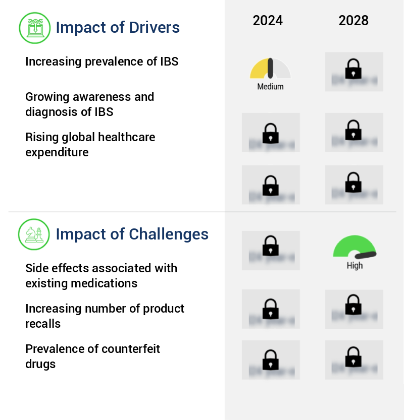 Irritable Bowel Syndrome Market Size