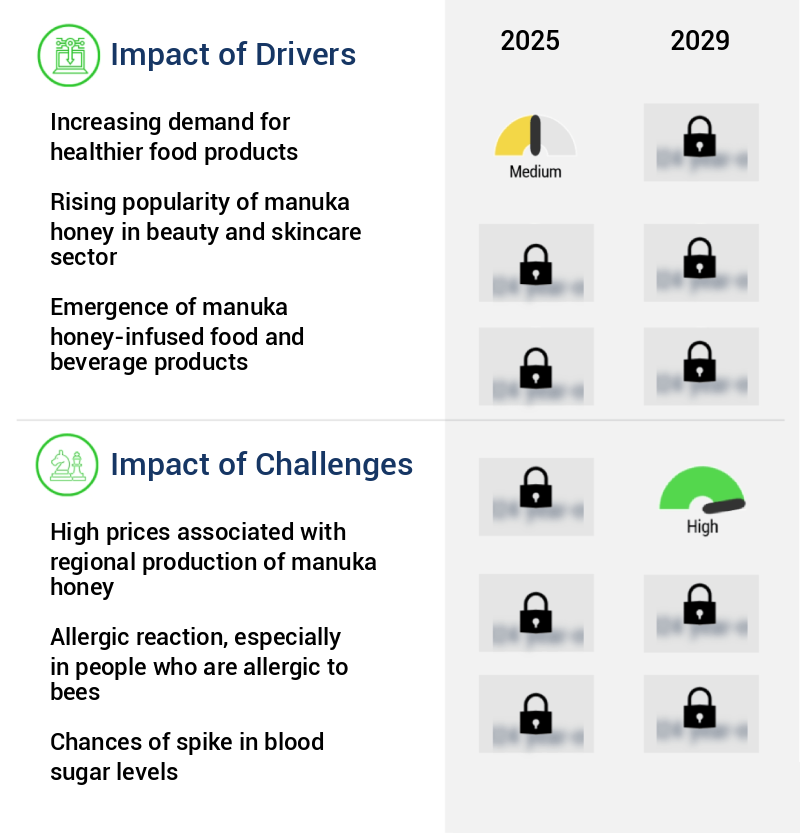 Manuka Honey Market Size