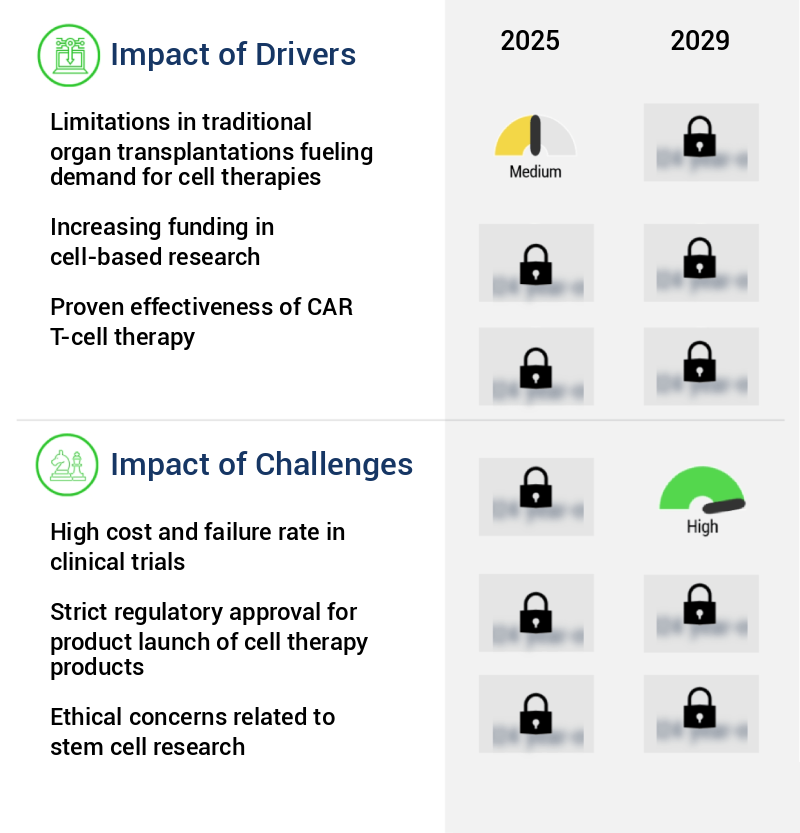 Cell Therapy Market Size