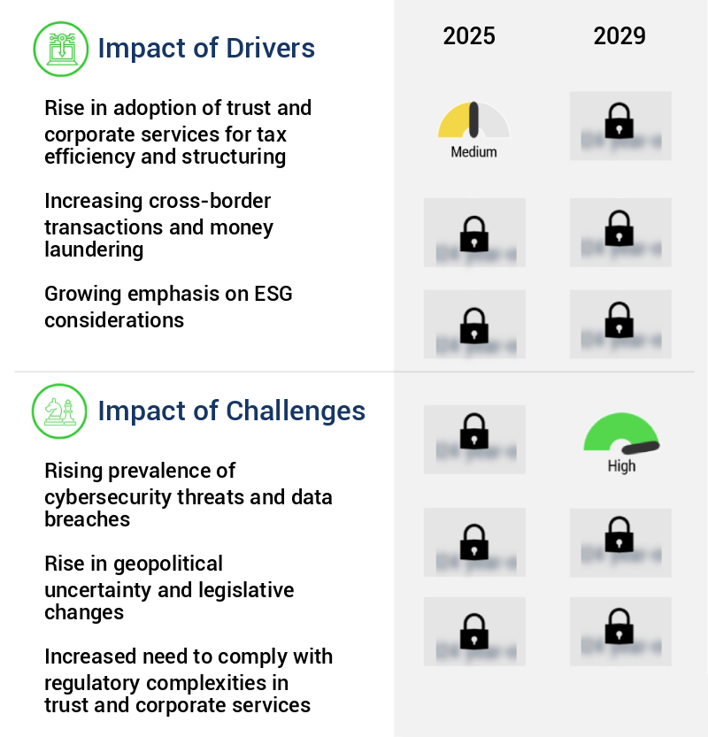 Trust And Corporate Service Market Size