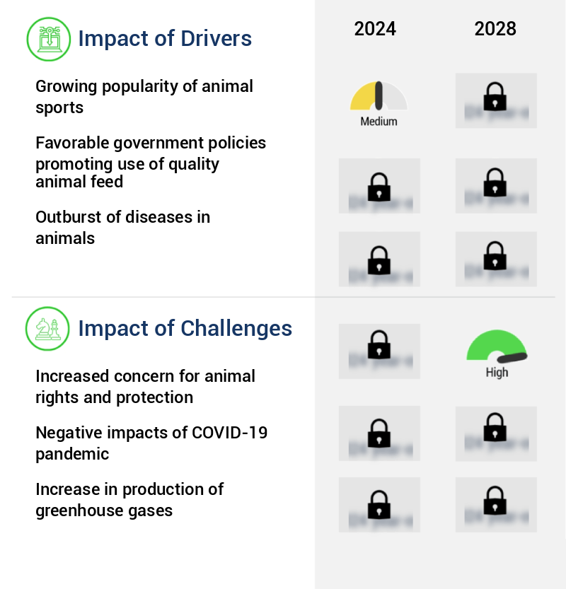 Game Feed Market Size