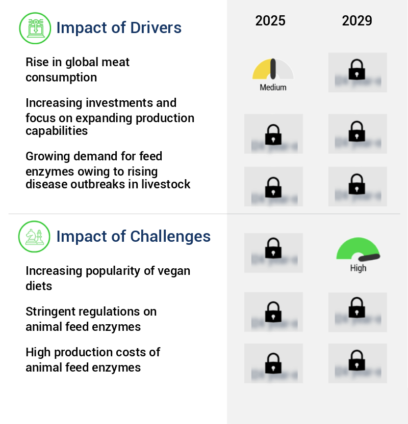 Animal Feed Enzymes Market Size