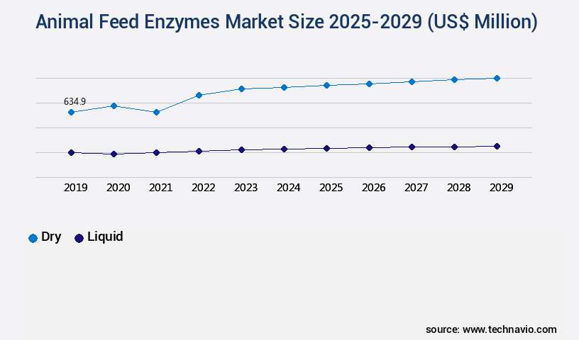Animal Feed Enzymes Market Size