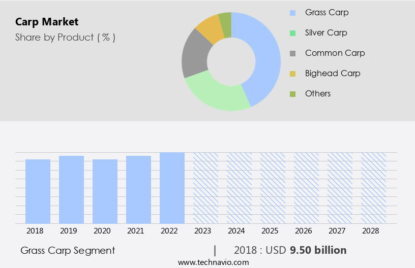 Carp Market Size