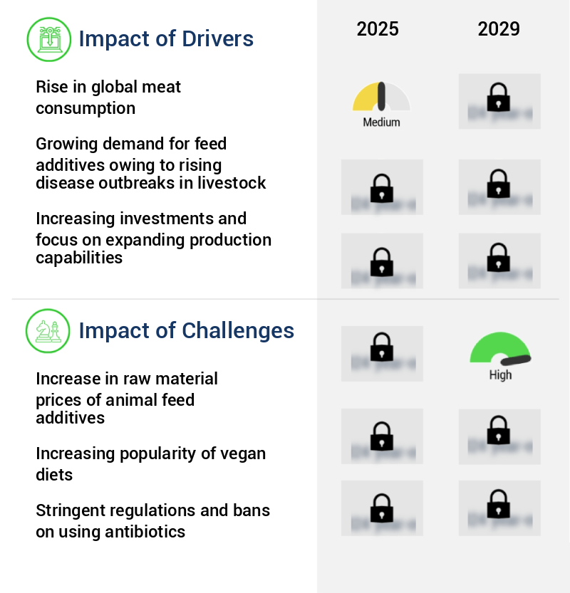 Animal Feed Additives Market Size