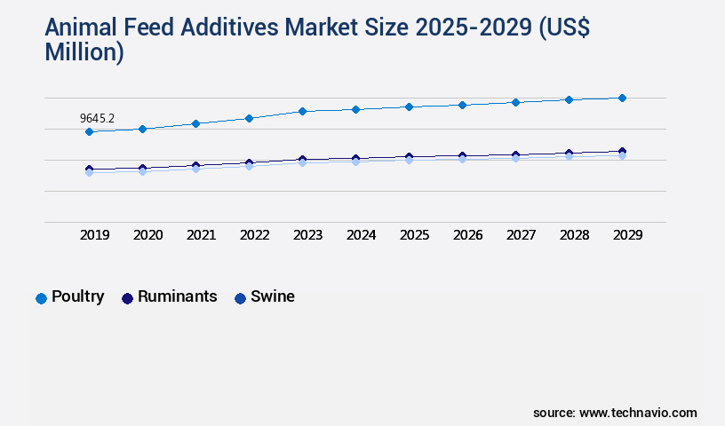 Animal Feed Additives Market Size