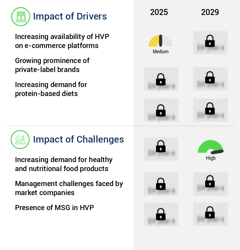 Hydrolyzed Vegetable Protein Market Size