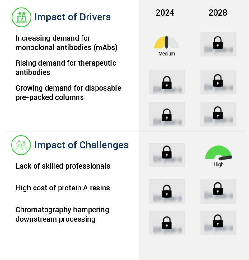Protein A Resin Market Size
