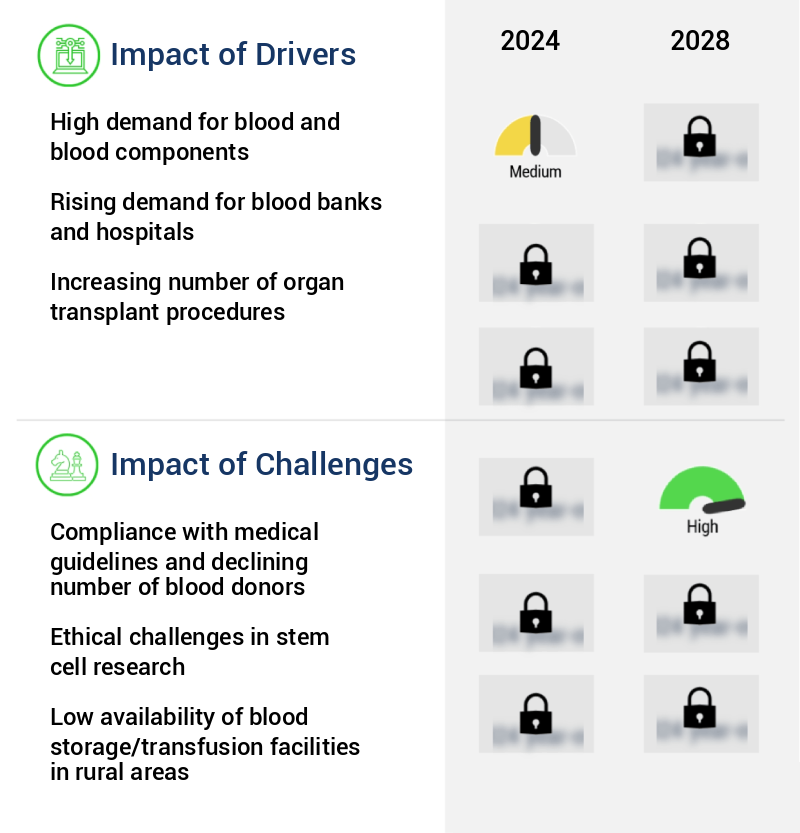 Rfid Blood Refrigerator And Freezer Market Size