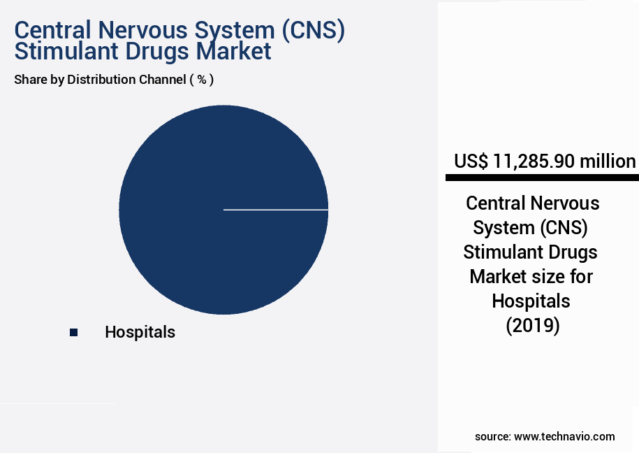 Central Nervous System (CNS) Stimulant Drugs Market Size