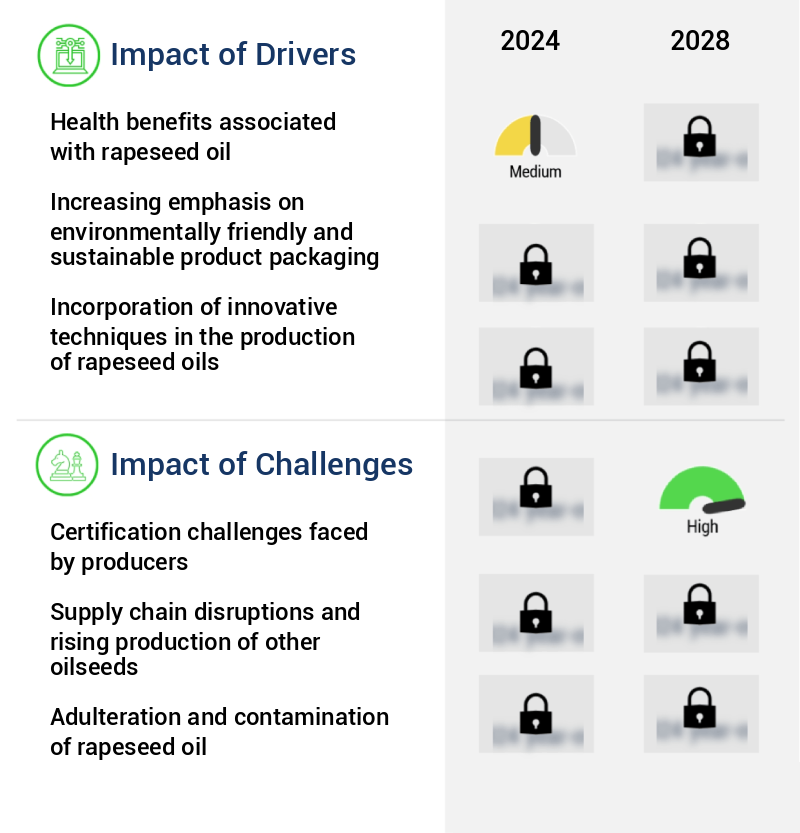 Rapeseed Oil Market Size