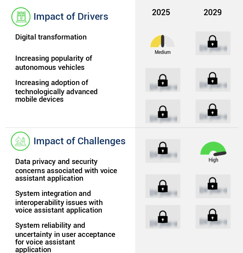 Voice Assistant Application Market Size