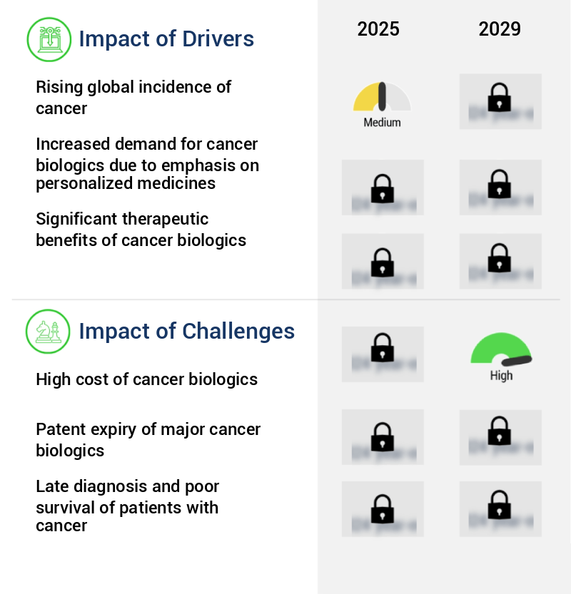 Cancer Biologics Market Size