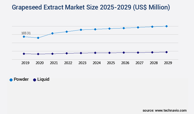 Grapeseed Extract Market Size