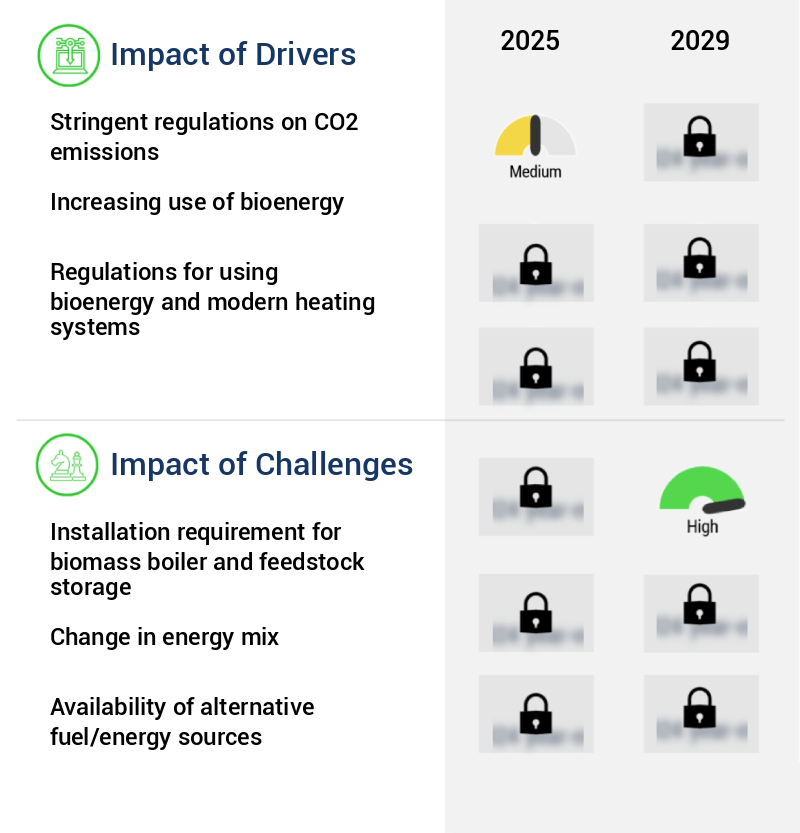 Wood Pellets Market Size