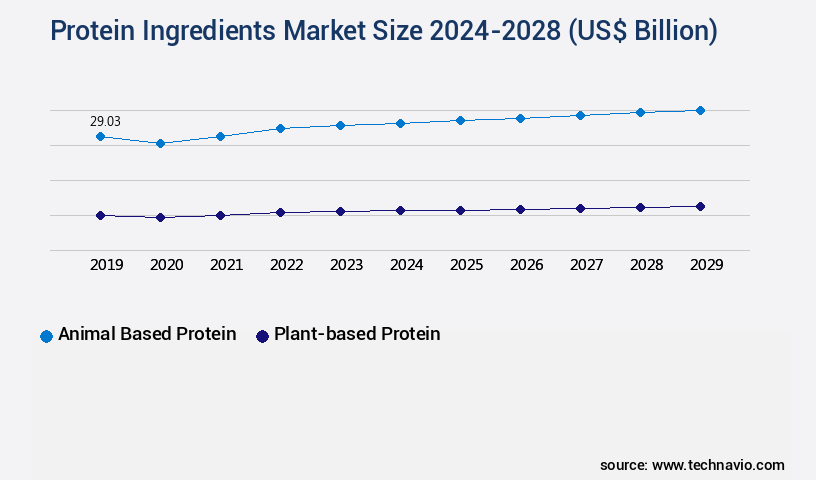 Protein Ingredients Market Size
