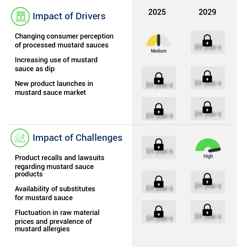 Mustard Sauces Market Size