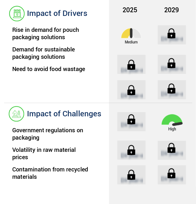Flexible Packaging For Food And Beverages Market Size