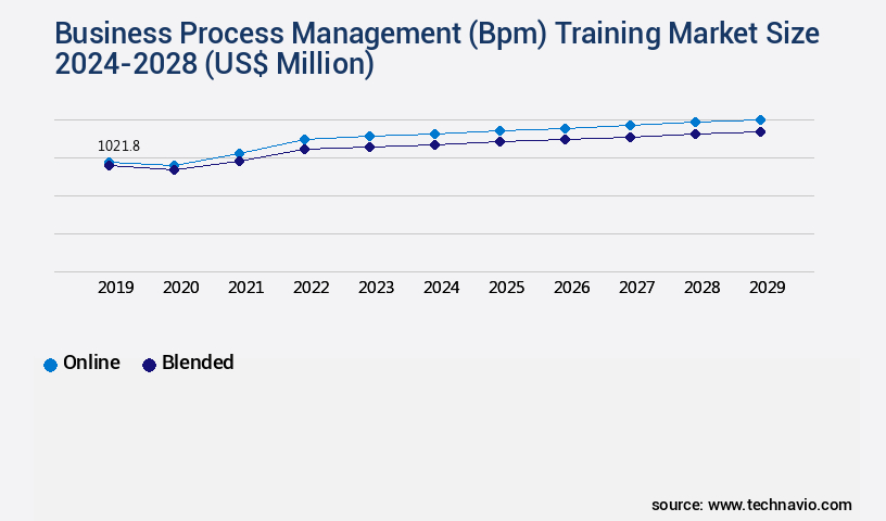 Business Process Management (Bpm) Training Market Size