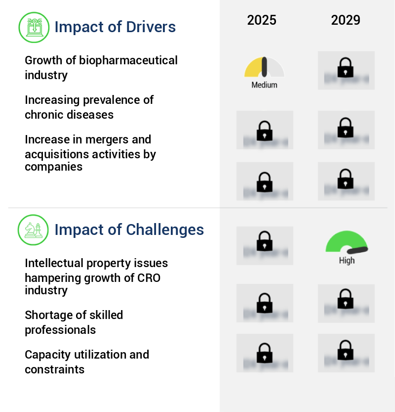 Contract Research Organization (CRO) Market Size