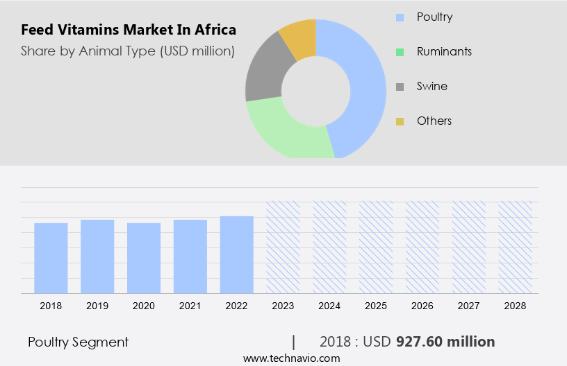 Feed Vitamins Market in Africa Size