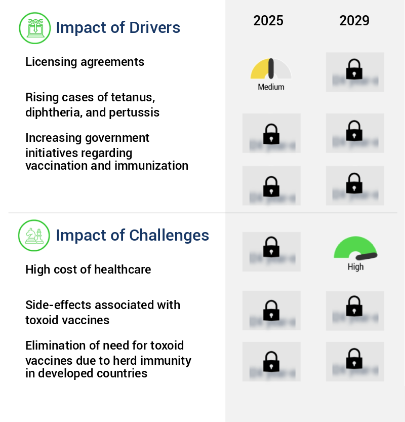 Tetanus Toxoid Vaccine Market Size