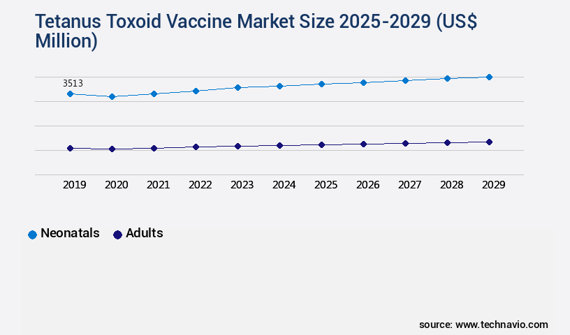 Tetanus Toxoid Vaccine Market Size