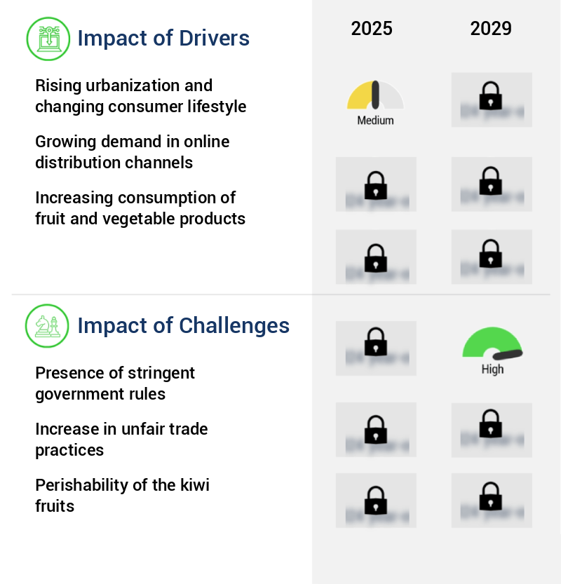 Kiwi Fruits Market Size