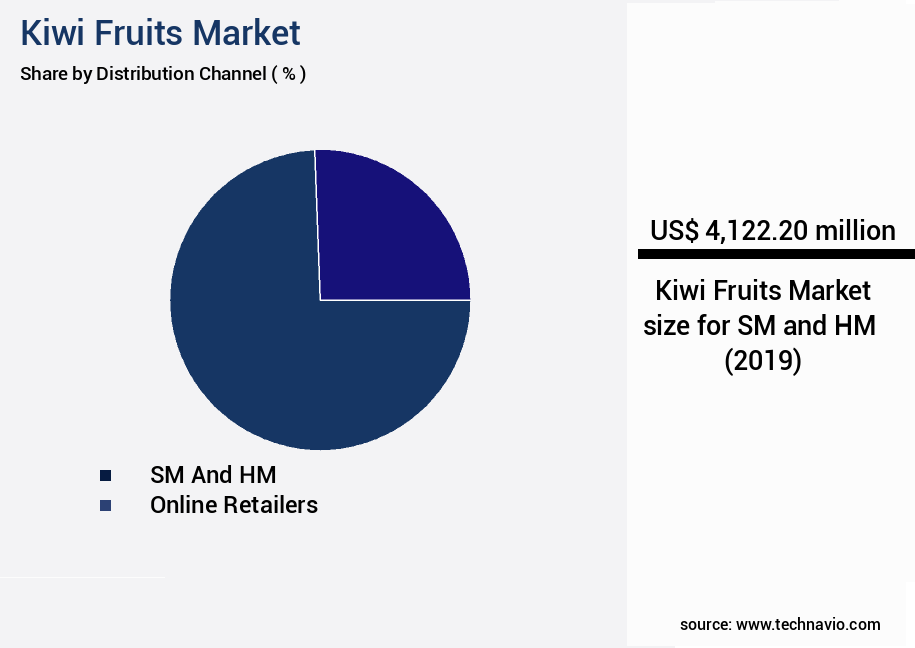 Kiwi Fruits Market Size